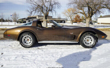 Chevrolet-Corvette-Coupe-1979-Brown-Tan-32325-8