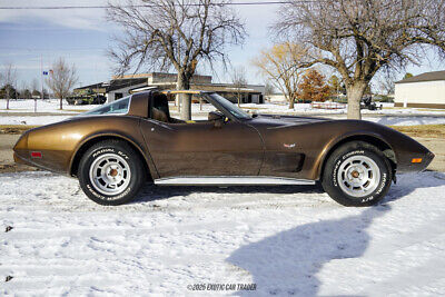 Chevrolet-Corvette-Coupe-1979-Brown-Tan-32325-8