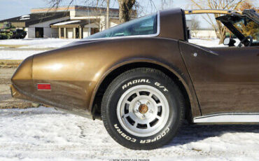 Chevrolet-Corvette-Coupe-1979-Brown-Tan-32325-9