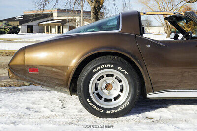 Chevrolet-Corvette-Coupe-1979-Brown-Tan-32325-9