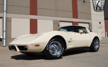 Chevrolet-Corvette-Coupe-1979-Cream-Tan-101672-2