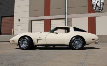 Chevrolet-Corvette-Coupe-1979-Cream-Tan-101672-3