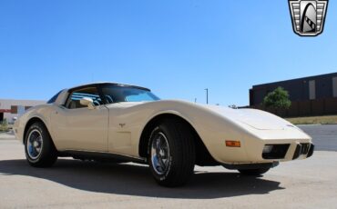 Chevrolet-Corvette-Coupe-1979-Cream-Tan-101672-8