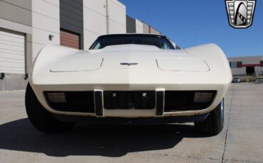 Chevrolet-Corvette-Coupe-1979-Cream-Tan-101672-9