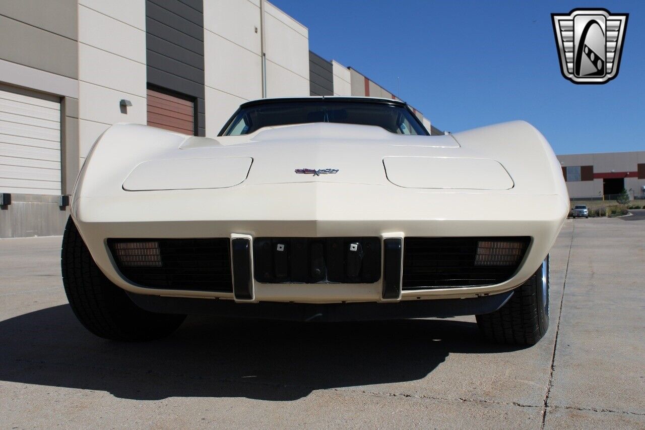 Chevrolet-Corvette-Coupe-1979-Cream-Tan-101672-9