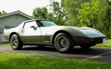 Chevrolet-Corvette-Coupe-1979-Silver-Black-146450-10