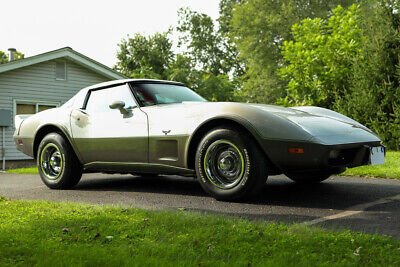 Chevrolet-Corvette-Coupe-1979-Silver-Black-146450-10