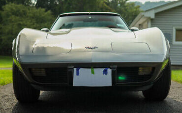 Chevrolet-Corvette-Coupe-1979-Silver-Black-146450-11