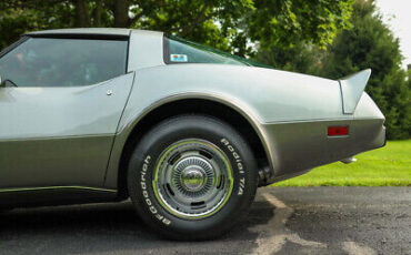 Chevrolet-Corvette-Coupe-1979-Silver-Black-146450-4