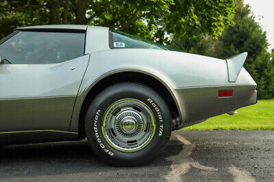 Chevrolet-Corvette-Coupe-1979-Silver-Black-146450-4