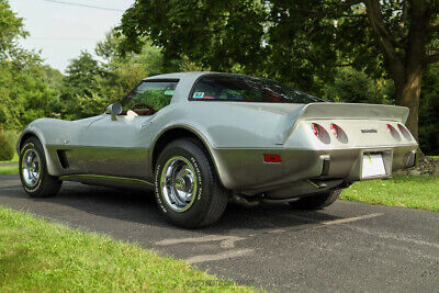 Chevrolet-Corvette-Coupe-1979-Silver-Black-146450-5