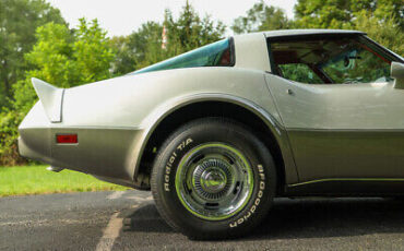 Chevrolet-Corvette-Coupe-1979-Silver-Black-146450-8