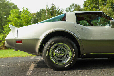 Chevrolet-Corvette-Coupe-1979-Silver-Black-146450-8