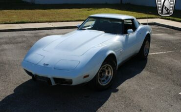 Chevrolet-Corvette-Coupe-1979-White-Blue-58466-3