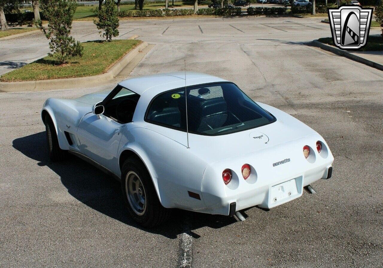 Chevrolet-Corvette-Coupe-1979-White-Blue-58466-4