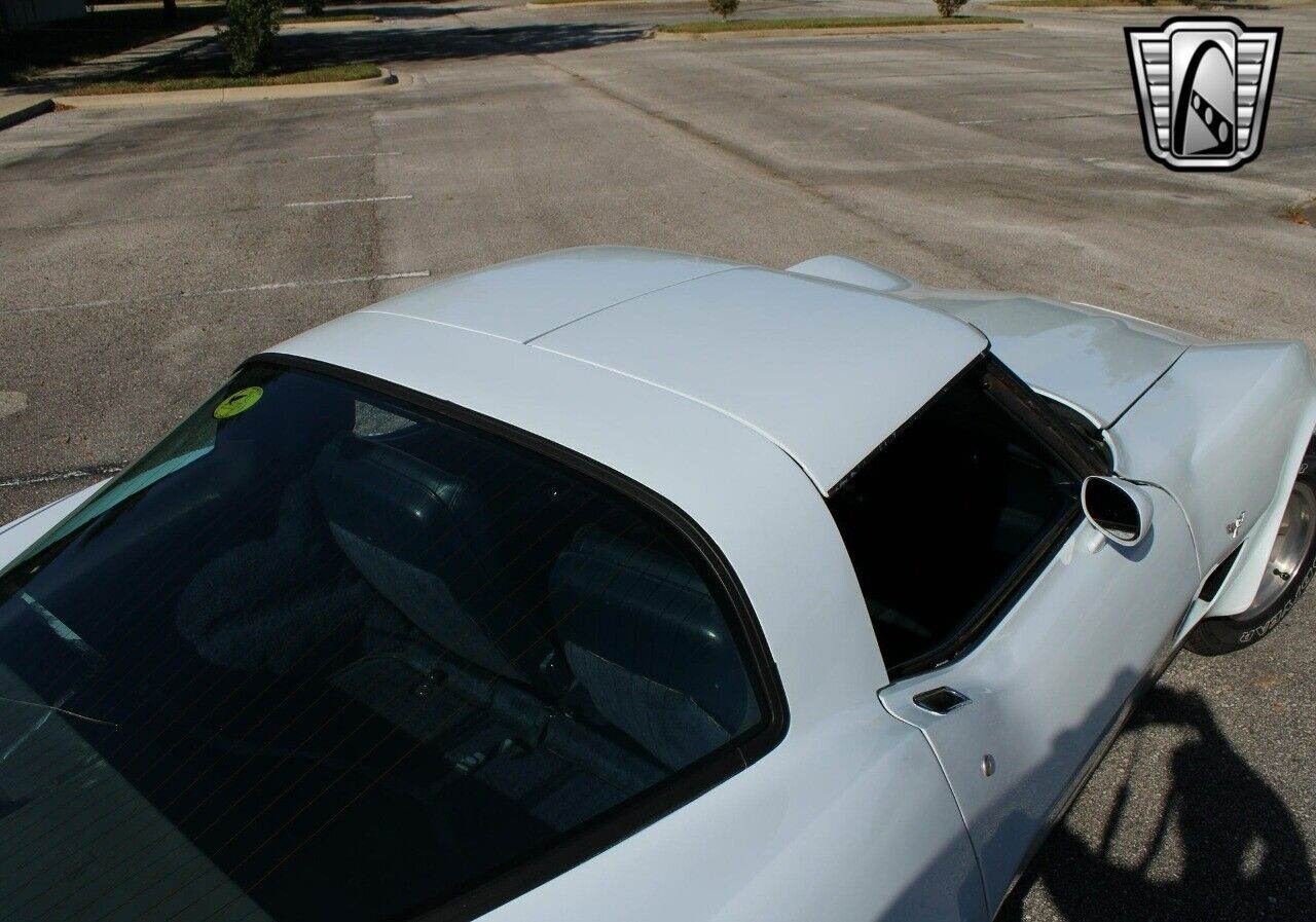 Chevrolet-Corvette-Coupe-1979-White-Blue-58466-6