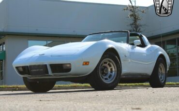 Chevrolet-Corvette-Coupe-1979-White-Blue-58466-7