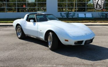 Chevrolet-Corvette-Coupe-1979-White-Blue-58466-8