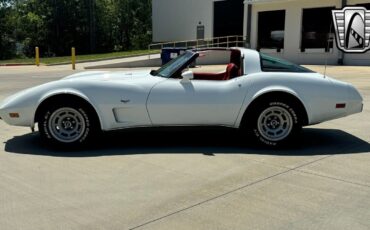 Chevrolet-Corvette-Coupe-1979-White-Red-29153-3