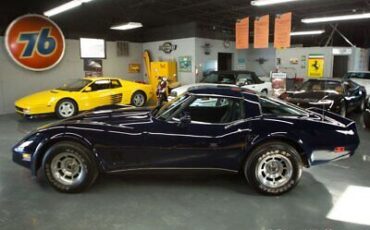 Chevrolet-Corvette-Coupe-1980-Blue-Blue-61895-9