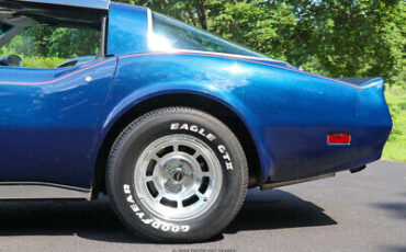 Chevrolet-Corvette-Coupe-1981-Blue-Gray-2-4