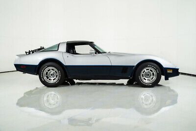 Chevrolet-Corvette-Coupe-1981-Silver-Blue-73293-13