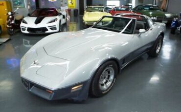 Chevrolet-Corvette-Coupe-1981-Silver-Gray-70336-1