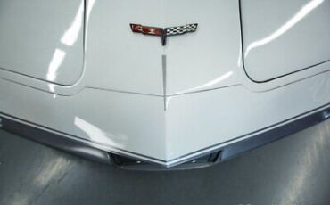 Chevrolet-Corvette-Coupe-1981-Silver-Gray-70336-12