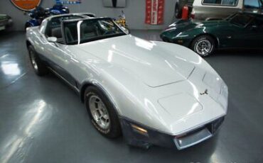 Chevrolet-Corvette-Coupe-1981-Silver-Gray-70336-3