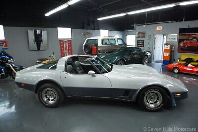 Chevrolet-Corvette-Coupe-1981-Silver-Gray-70336-4