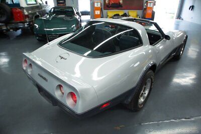 Chevrolet-Corvette-Coupe-1981-Silver-Gray-70336-5