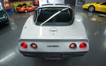 Chevrolet-Corvette-Coupe-1981-Silver-Gray-70336-6