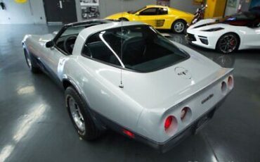 Chevrolet-Corvette-Coupe-1981-Silver-Gray-70336-8