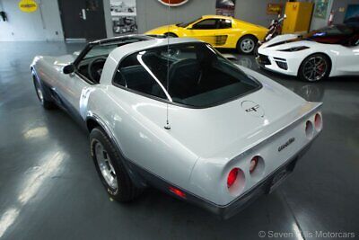 Chevrolet-Corvette-Coupe-1981-Silver-Gray-70336-8