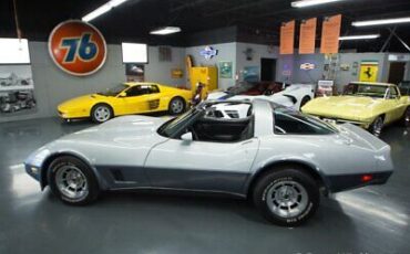 Chevrolet-Corvette-Coupe-1981-Silver-Gray-70336-9