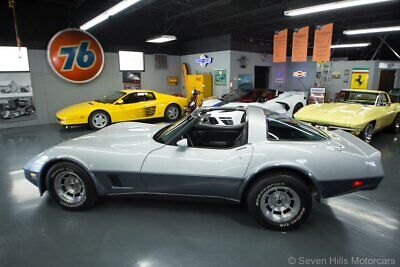 Chevrolet-Corvette-Coupe-1981-Silver-Gray-70336-9