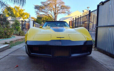 Chevrolet-Corvette-Coupe-1981-Yellow-Black-177833-4