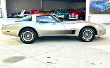 Chevrolet-Corvette-Coupe-1982-Beige-Tan-52030-4