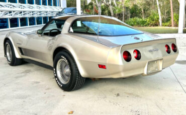 Chevrolet-Corvette-Coupe-1982-Beige-Tan-52030-8