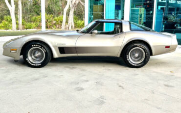 Chevrolet-Corvette-Coupe-1982-Beige-Tan-52030-9