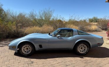 Chevrolet-Corvette-Coupe-1982-Blue-Tan-107021-2