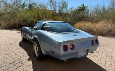 Chevrolet-Corvette-Coupe-1982-Blue-Tan-107021-3