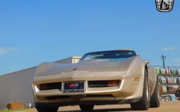 Chevrolet-Corvette-Coupe-1982-Brown-Gold-94868-10