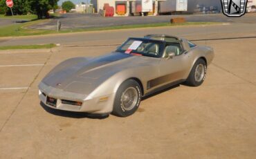 Chevrolet-Corvette-Coupe-1982-Brown-Gold-94868-2