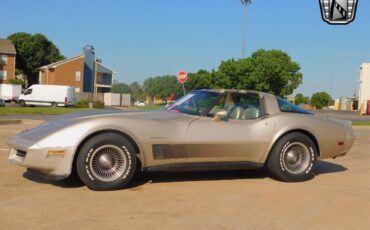 Chevrolet-Corvette-Coupe-1982-Brown-Gold-94868-3