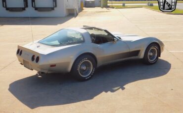 Chevrolet-Corvette-Coupe-1982-Brown-Gold-94868-6