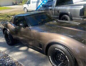 Chevrolet-Corvette-Coupe-1982-Brown-Tan-125529-4