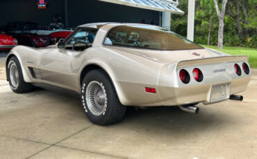 Chevrolet-Corvette-Coupe-1982-Gold-Tan-69504-6