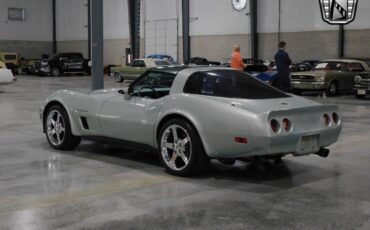 Chevrolet-Corvette-Coupe-1982-Silver-Silver-158739-3