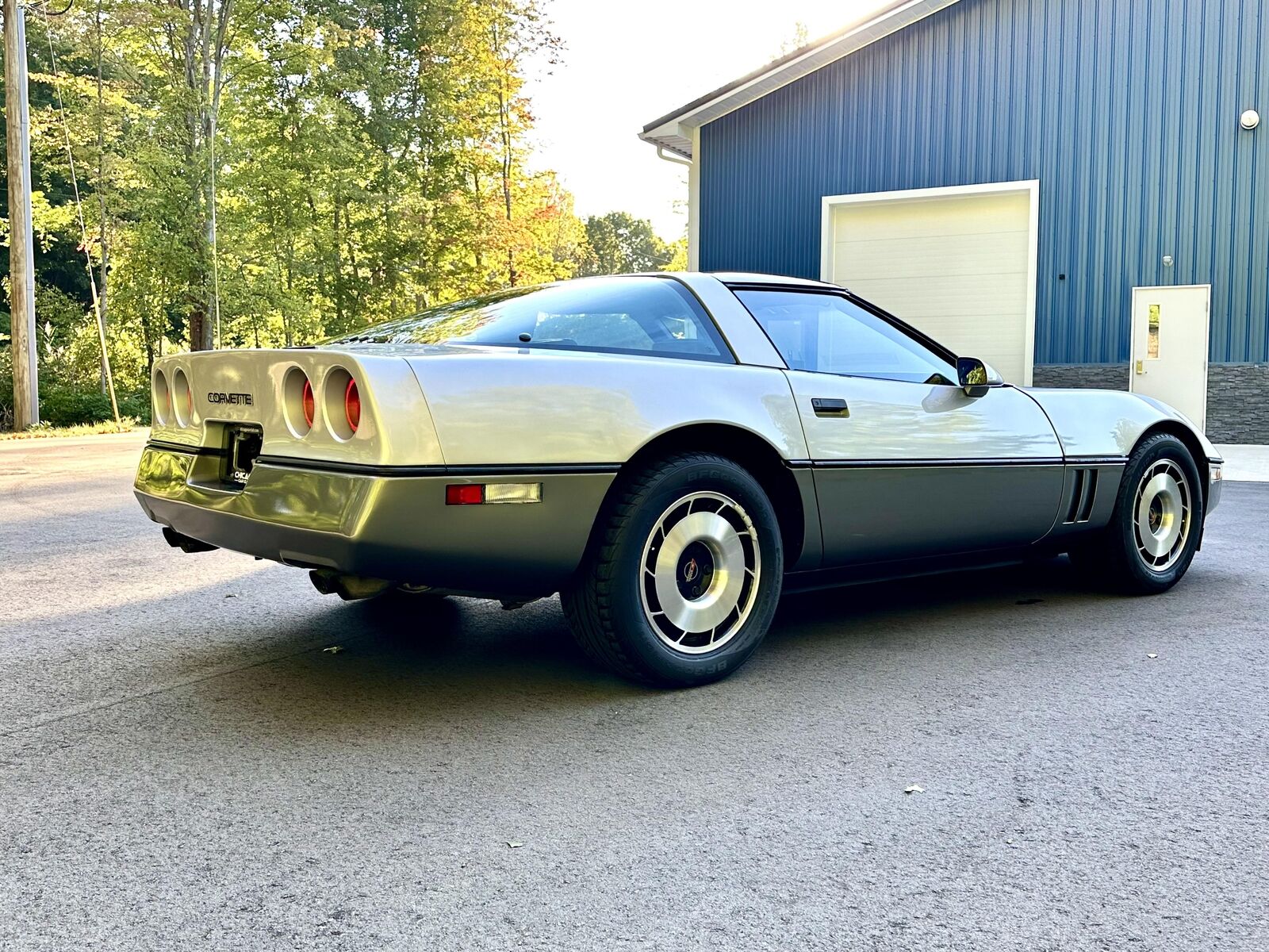 Chevrolet-Corvette-Coupe-1985-Silver-Gray-32142-12